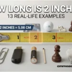 How Long Is 2 Inches?