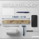 How Long Is 5 Inches?