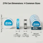 Zyn Can Dimensions: 4 Powerful Sizes for a Perfect, Easy Fit